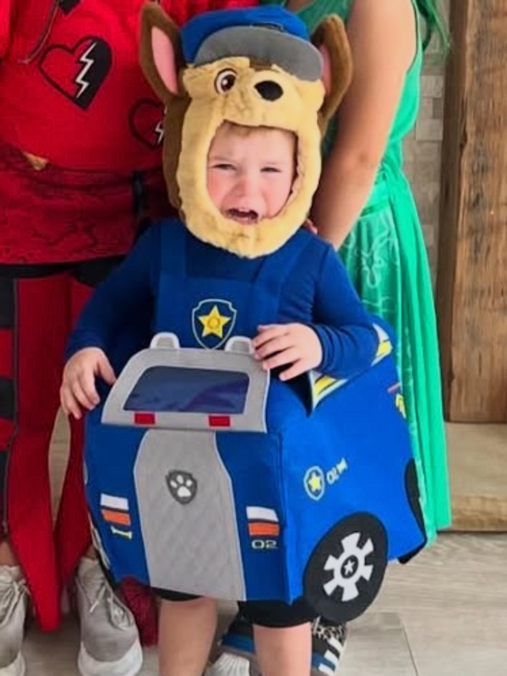 Paw Patrol Chase Costume, and treat basket